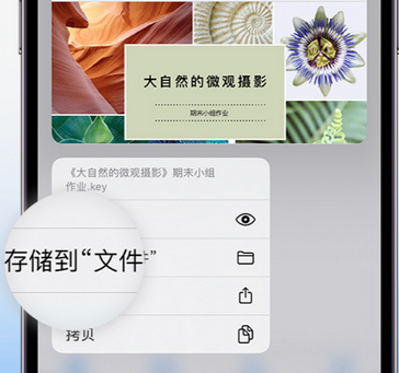 下陆apple维修中心分享iPhone文件应用中存储和找到下载文件