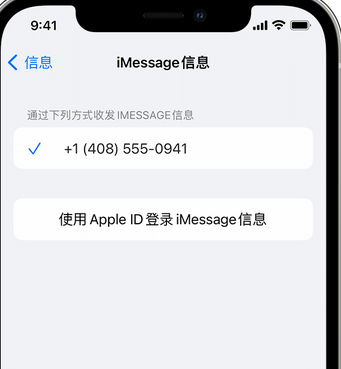 下陆apple维修iPhone上无法正常发送iMessage信息 