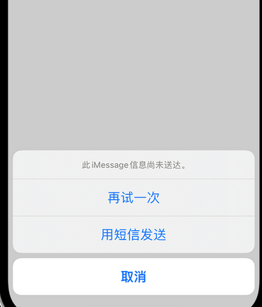 下陆apple维修iPhone上无法正常发送iMessage信息