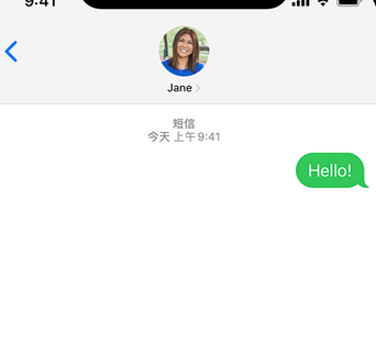 下陆apple维修iPhone上无法正常发送iMessage信息