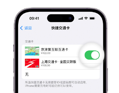 下陆apple维修点分享iPhone上更换Apple Pay快捷交通卡手绘卡面 