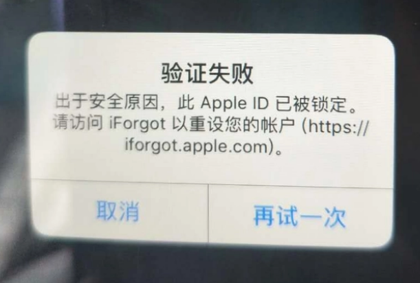 下陆iPhone维修分享iPhone上正常登录或使用AppleID怎么办 