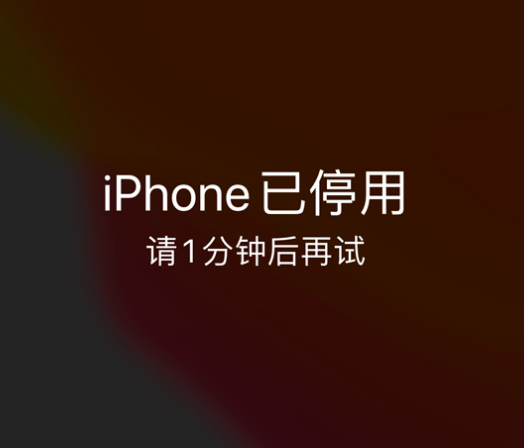 下陆苹果手机维修分享:iPhone 显示“不可用”或“已停用”怎么办？还能保留数据吗？ 