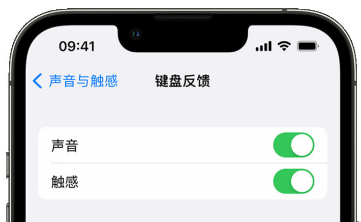 下陆苹果手机维修分享iPhone 14触感键盘使用方法 