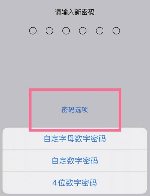 下陆苹果14维修分享iPhone 14plus设置密码的方法 