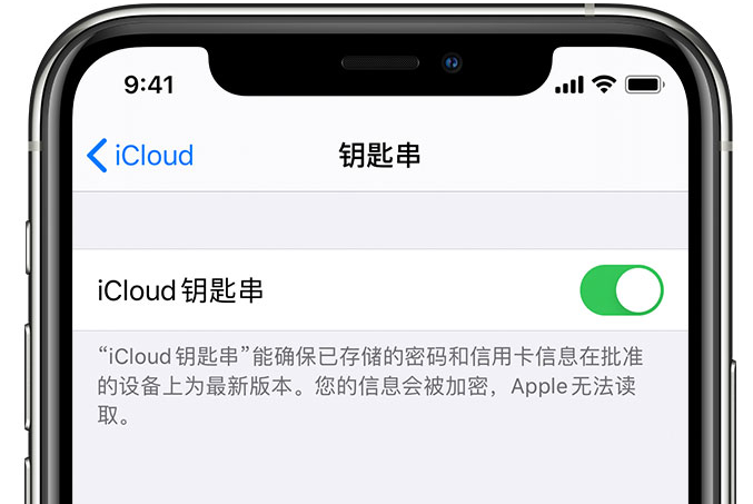 下陆苹果手机维修分享在 iPhone 上开启 iCloud 钥匙串之后会储存哪些信息 