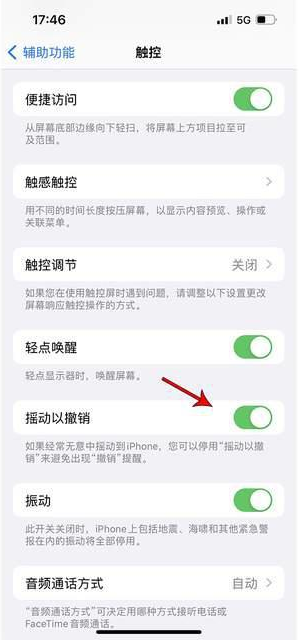 下陆苹果手机维修分享iPhone手机如何设置摇一摇删除文字 